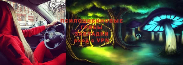гашик Пересвет