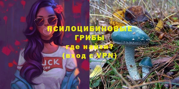 mdma Пестово