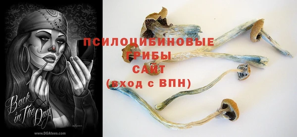 гашик Пересвет