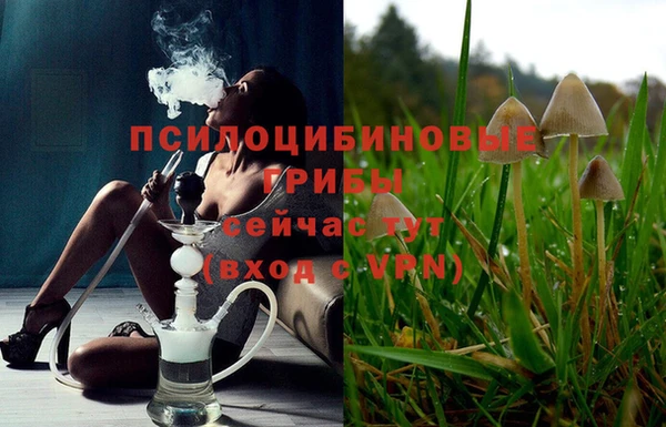 гашик Пересвет