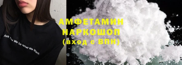 гашик Пересвет