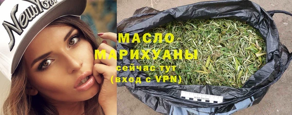 гашик Пересвет