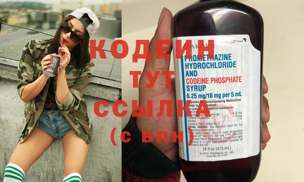 гашик Пересвет