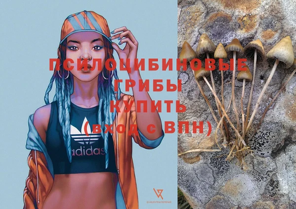 mdma Пестово