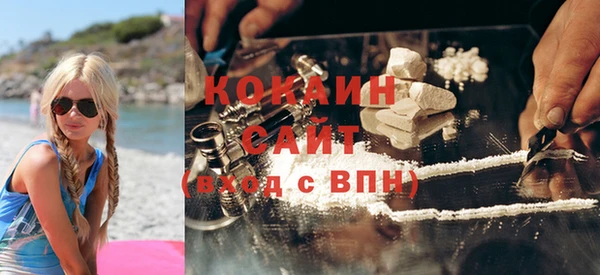 гашик Пересвет