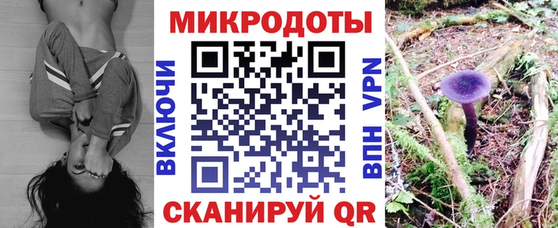 магазин продажи   Усолье-Сибирское  Галлюциногенные грибы GOLDEN TEACHER 