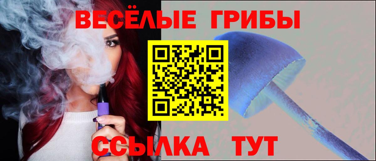 купить наркоту  Усолье-Сибирское  Галлюциногенные грибы Cubensis 