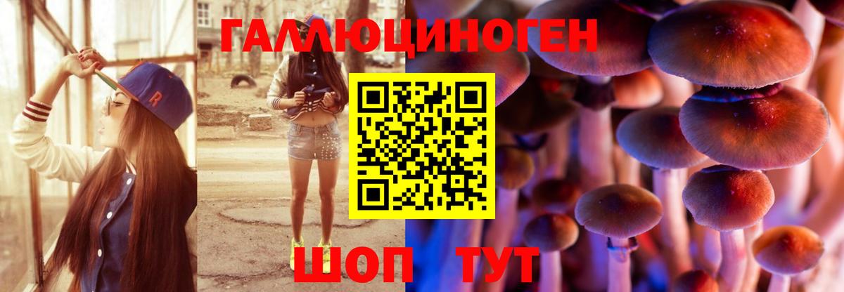 Галлюциногенные грибы Psilocybine cubensis Усолье-Сибирское