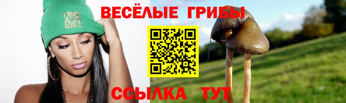 Псилоцибиновые грибы GOLDEN TEACHER Усолье-Сибирское